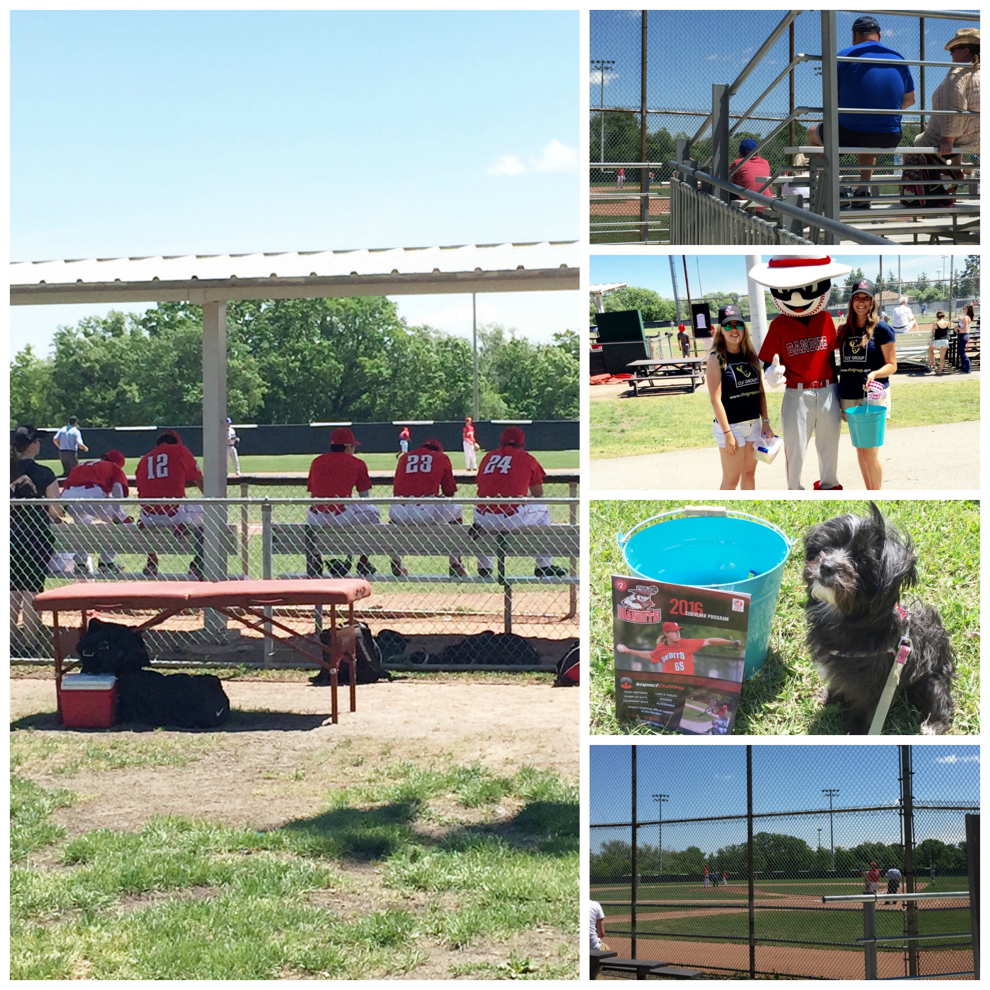 Burlington-Bandits-Collage
